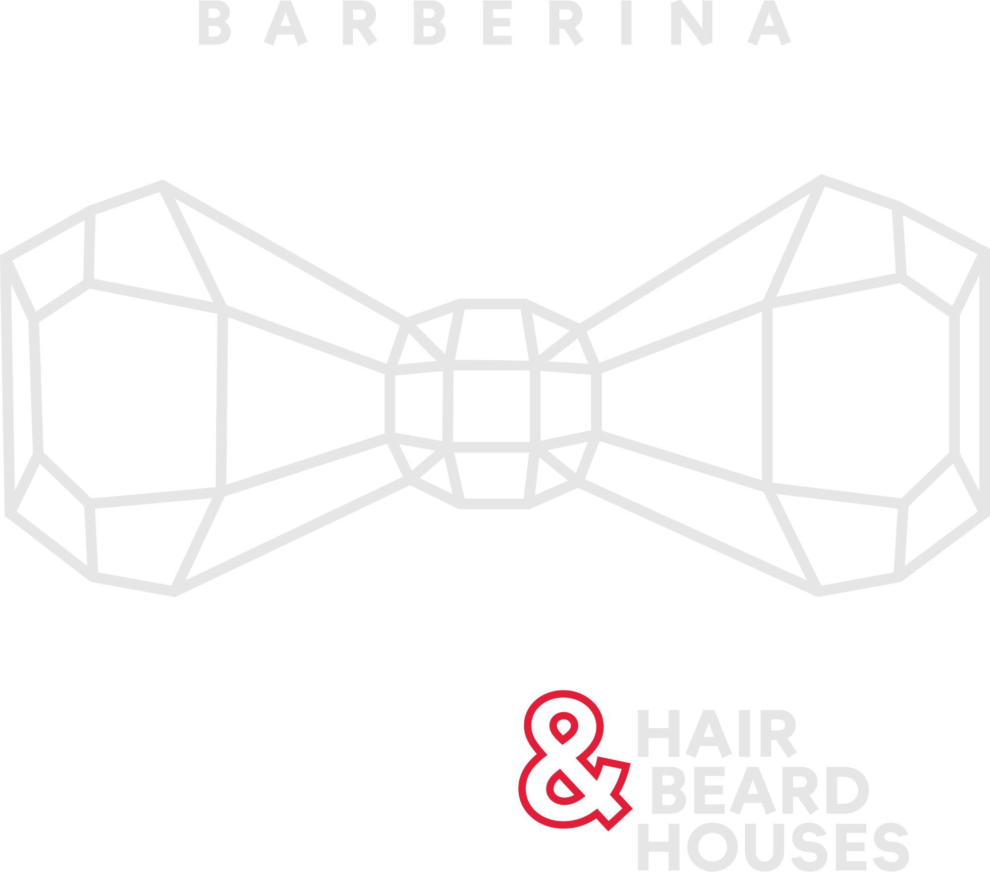 Barberina logo